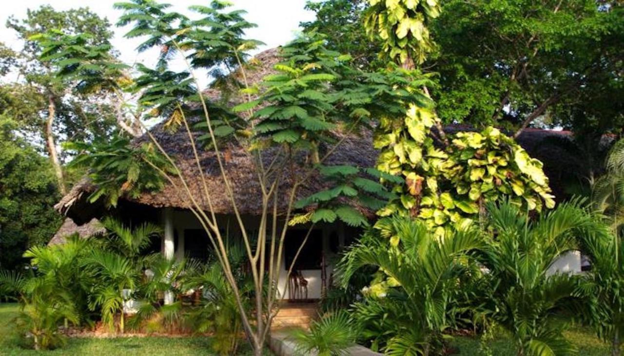 Galu Ecolodge Diani Beach Exterior photo